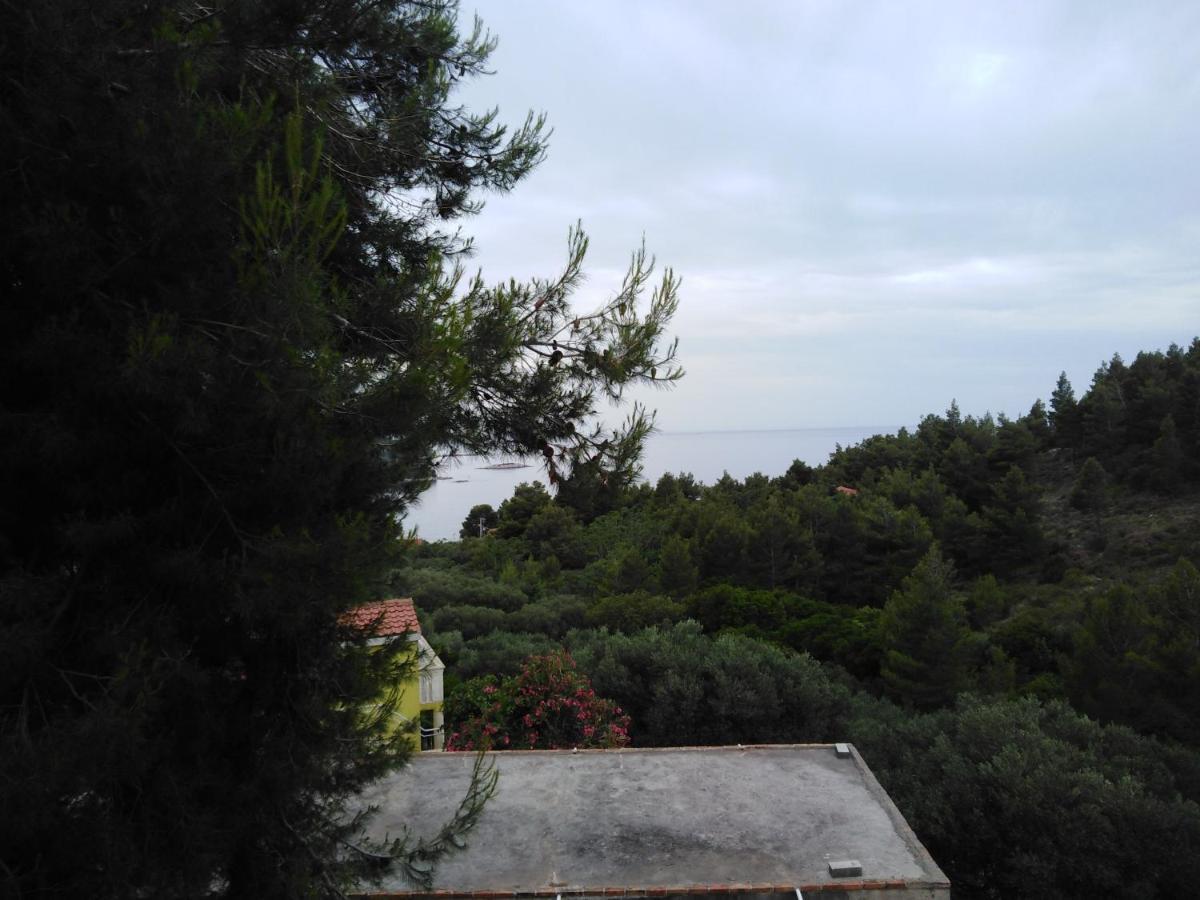 Ferienwohnung Apartman Ana Žuljana Exterior foto